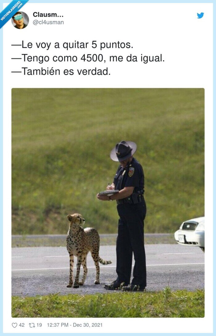 guepardo,quitar,puntos,multa