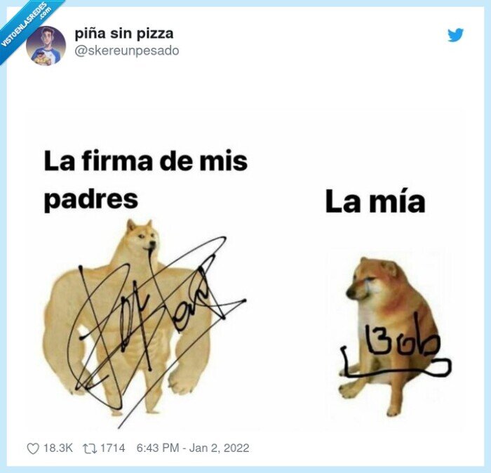 cheems,doge,firma,padres,mía