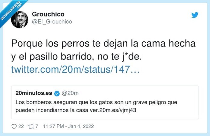 perros,gatos,incendio,casa