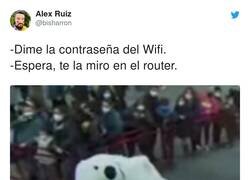 Enlace a El oso de la cabalgata de Cádiz, por @bisharron