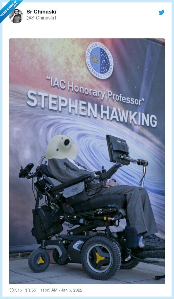 oso polar,cabalgata,stephen hawkin