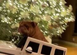 Enlace a Si bebes no conduzcas, por @yisucrist