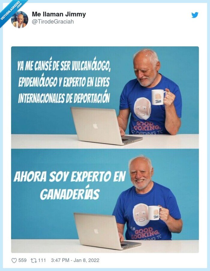 harold,experto