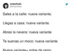 Enlace a Ya hay más variantes del COVID que infectados de COVID, por @empeltada