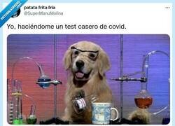 Enlace a Ni idea de qué estoy haciendo por @supermanumolina
