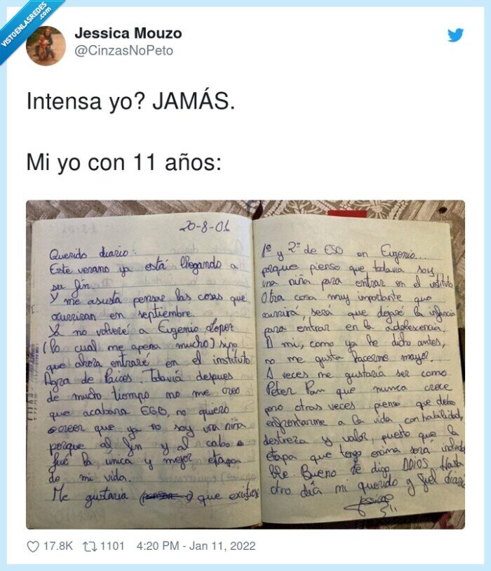 intensa,niña,reflexión,diario