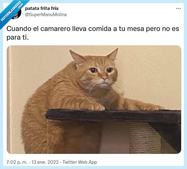 mesa,comida,camarero