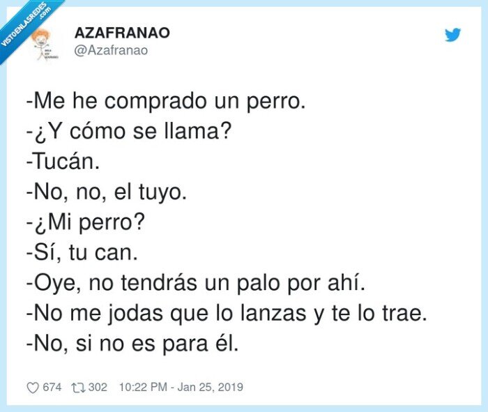 compradr,tucán,can,perro