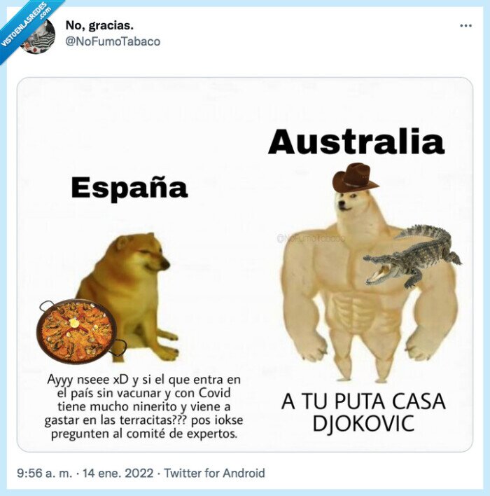 cheems,doge,australia,espa&ntilde;a,djokovic