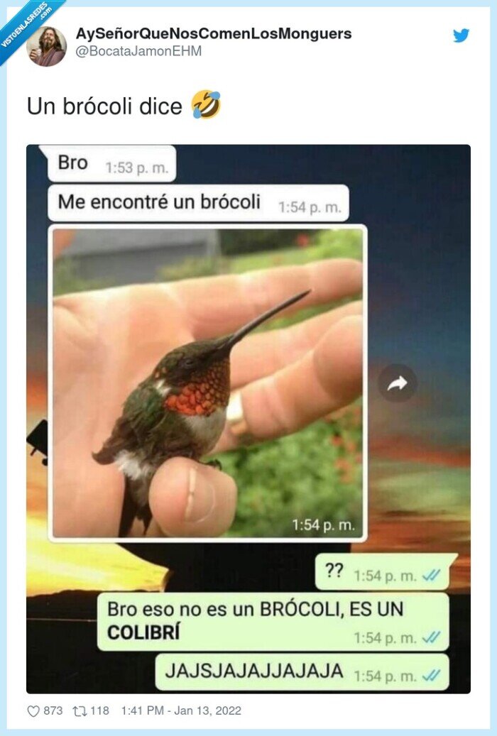 brócoli,colibri