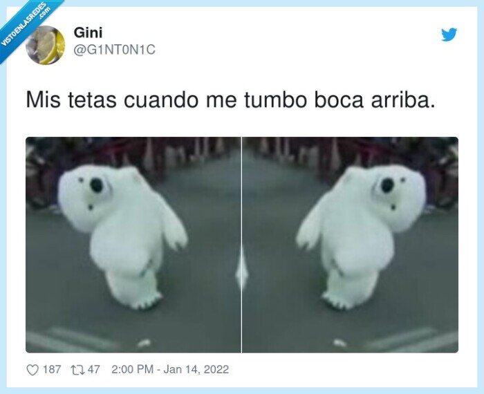 tetas,boca arriba,oso polar,cabalgata