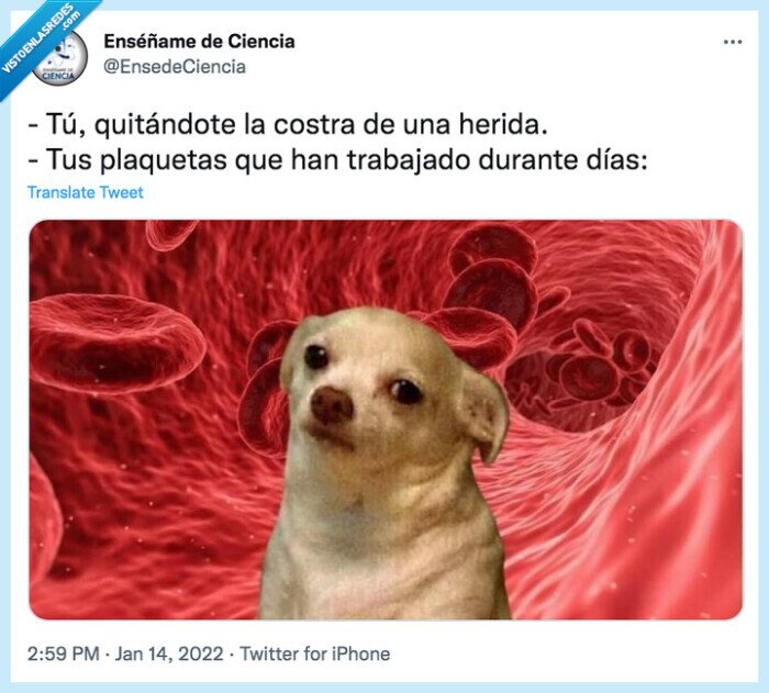 quitar,plaquetas,costra,herida