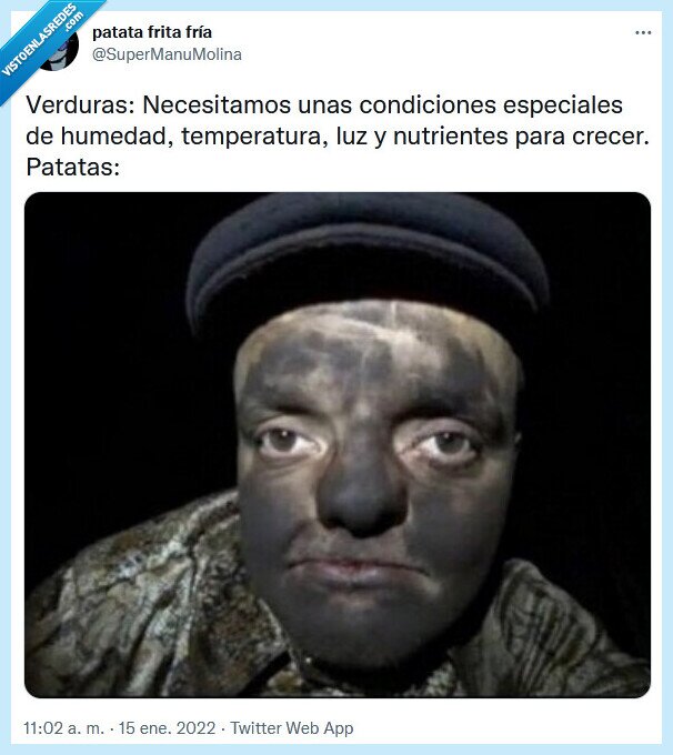 patatas,verduras,condiciones