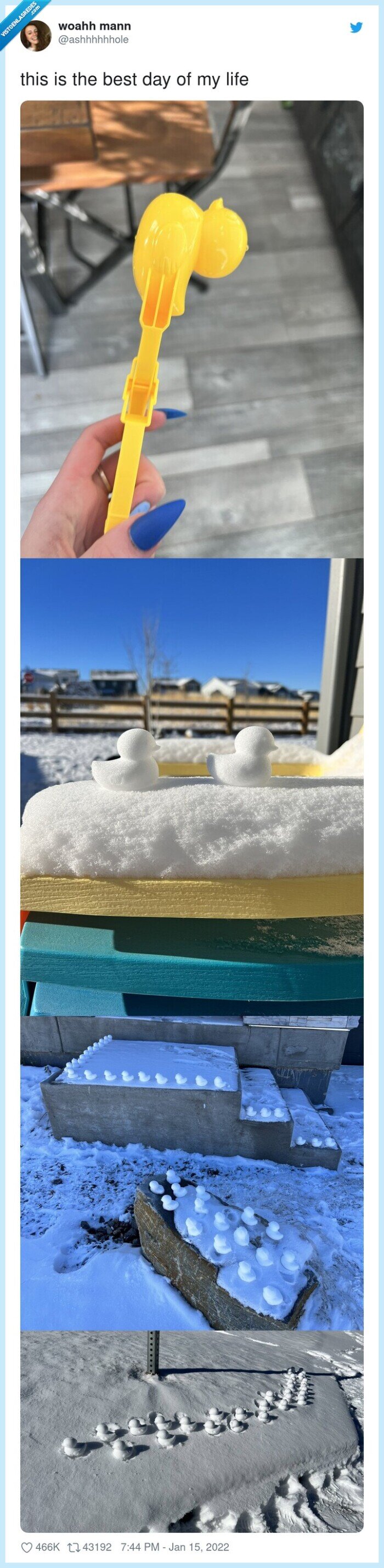 patitos,nieve,montar