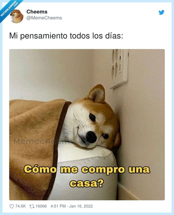 pensamiento,todos,días,casa,comprar