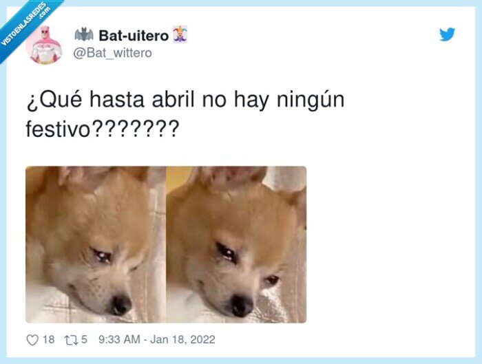 festivo,perro,abril