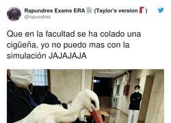 Enlace a La pobre tampoco ha encontrado sitio en la biblioteca, por @rapundres