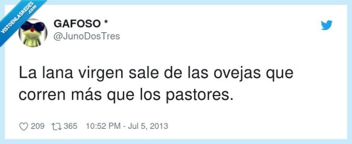 pastores,virgen,ovejas,correr,lana