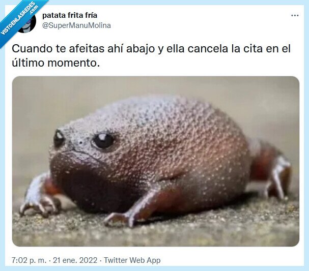 cita,cancelar,afeitar