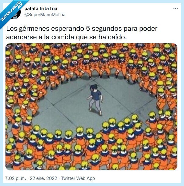 gérmenes,caer,comida,esperar