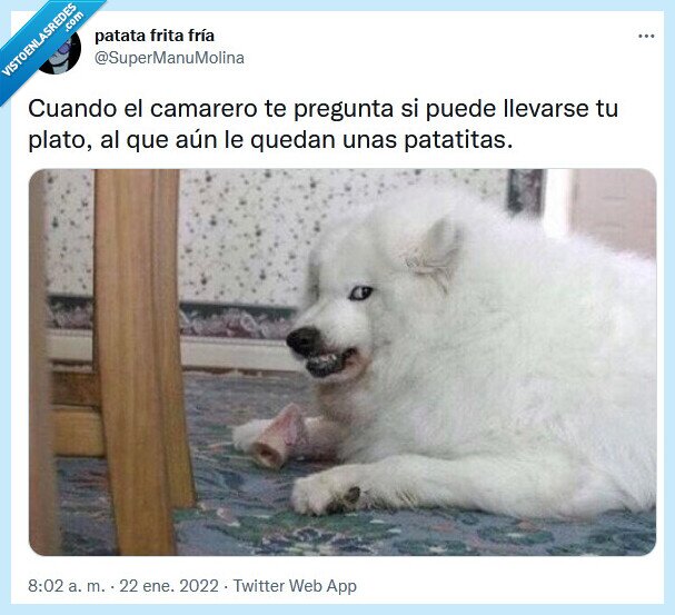 plato,camarero,patatas