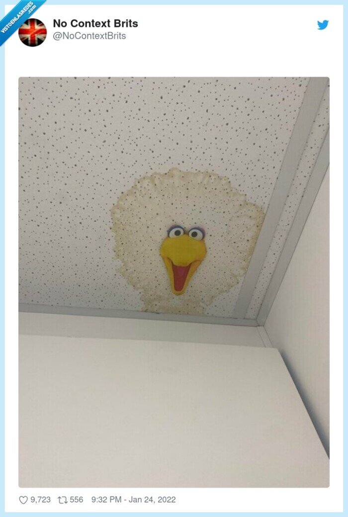 caponata,mancha,humedad,techo