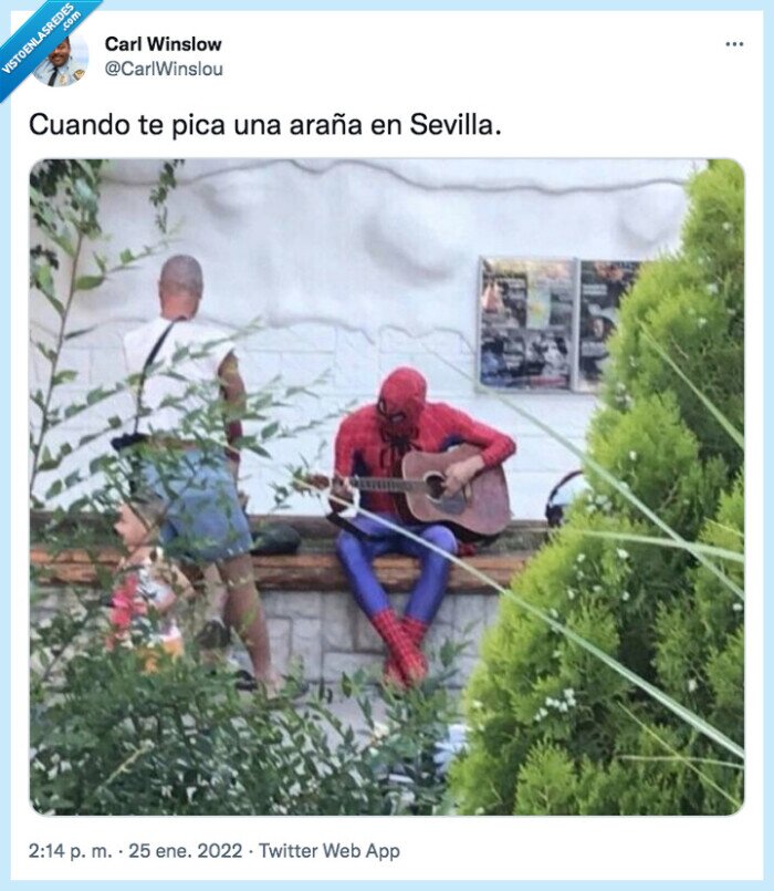 sevilla,araña,picar