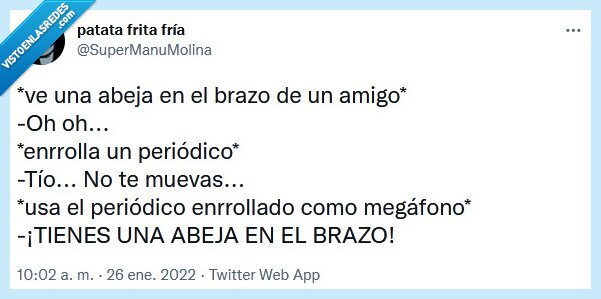 abeja,periódico,megáfono,amigo