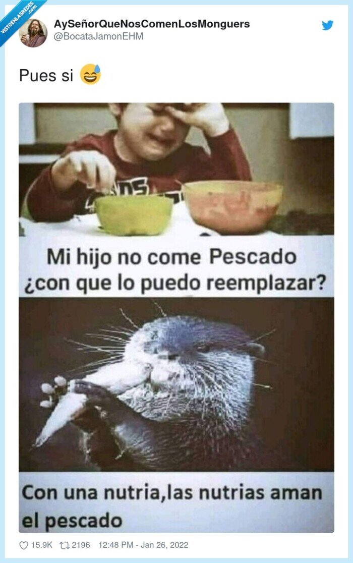 hijo,comer,pescado,nutria
