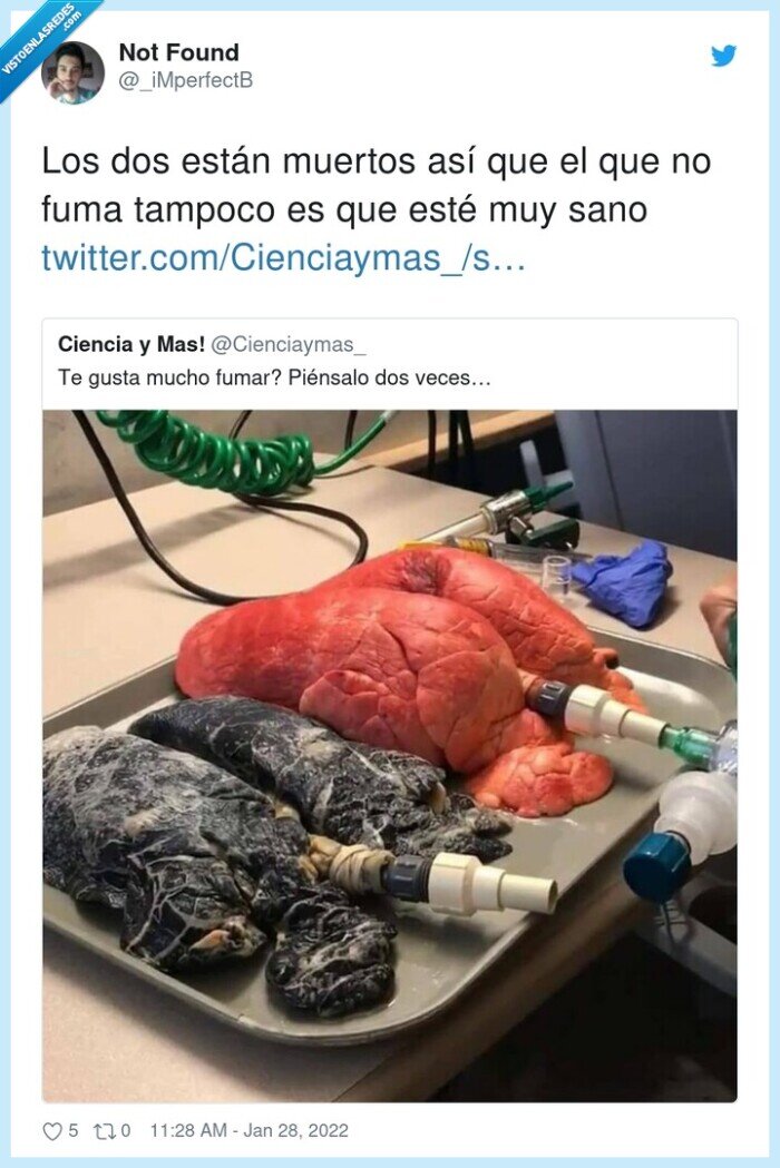 pulmón,negro,fumar,tabaco