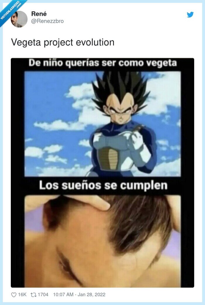 vegeta,entradas