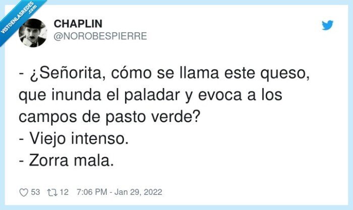 señorita,intenso,paladar,campos,queso,inunda