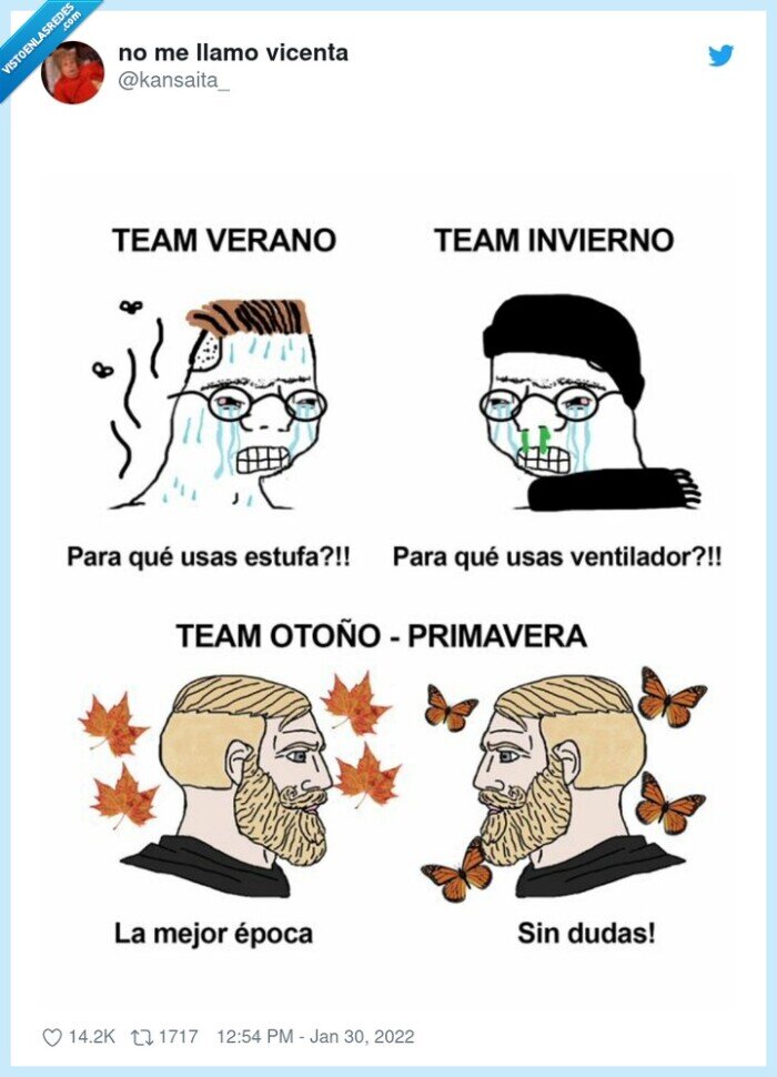 primavera,verano,otoño,invierno,estaciones,team