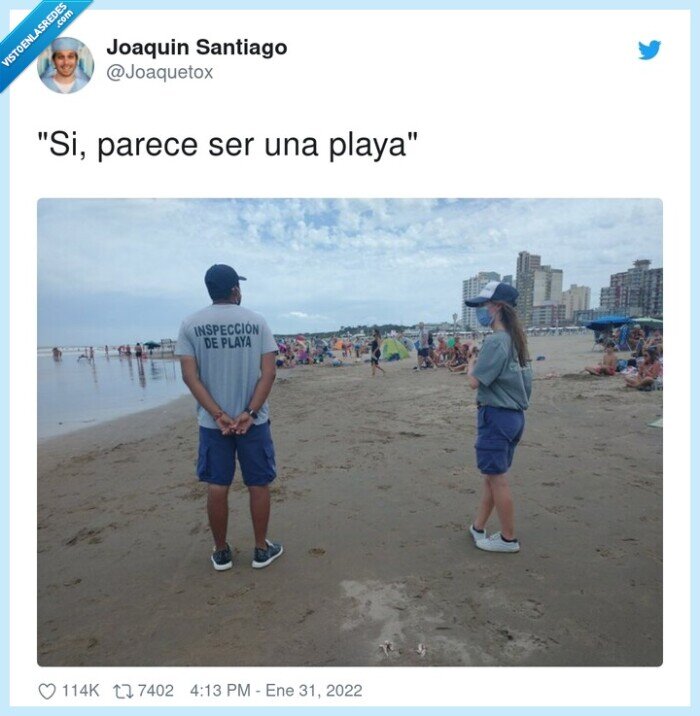 parece,playa,inspección