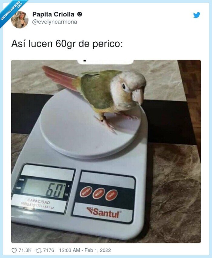 perico,pesar,balanza,60gr