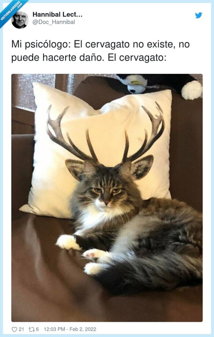 psicólogo,cervagato,existe,daño