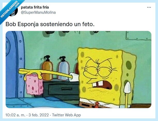 feto,sostener,bob esponja
