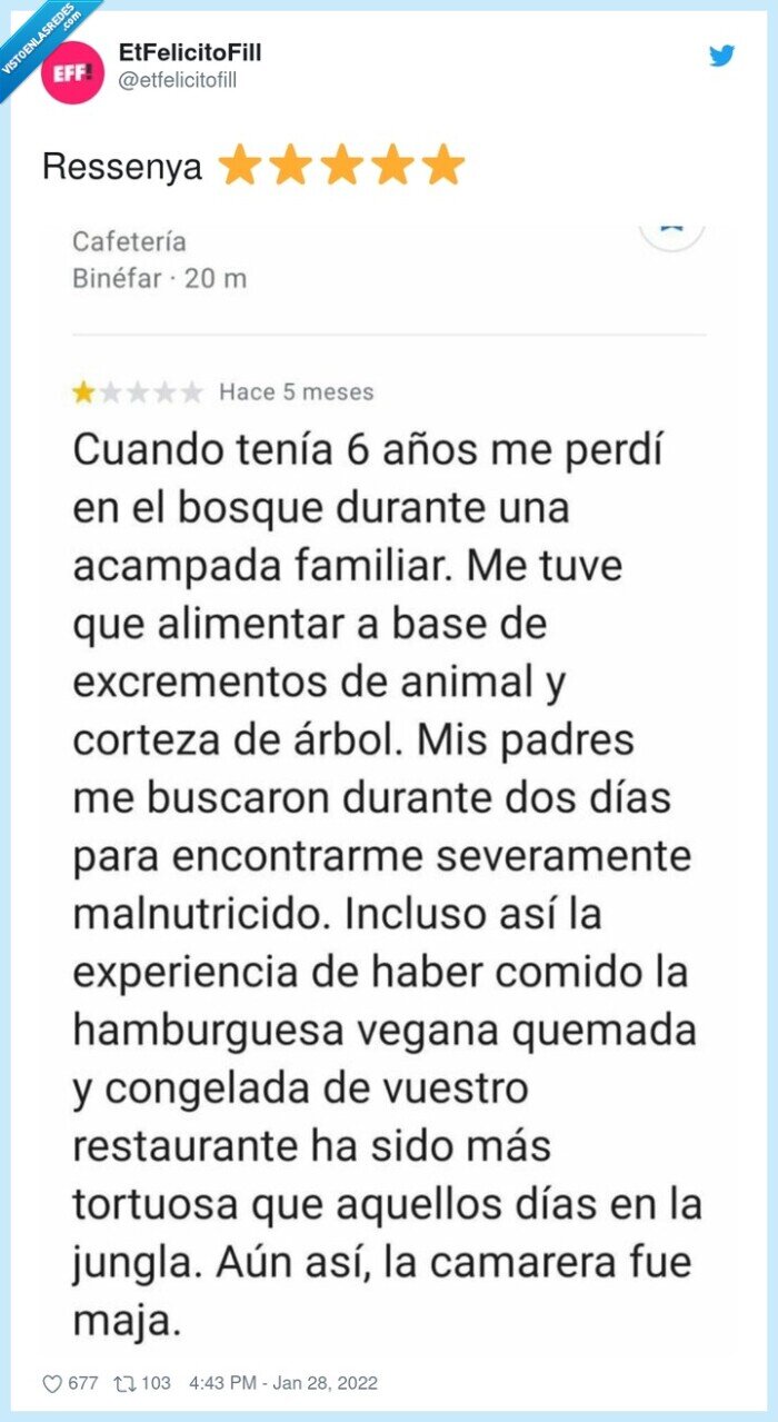 reseña,estrellas,hamburguesa,vegana