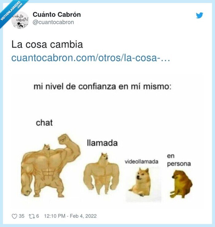 cheems,doge,llamada,chat,en persona