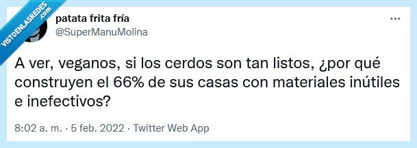 cerdos,veganos,casas