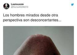 Enlace a La madre que los parió