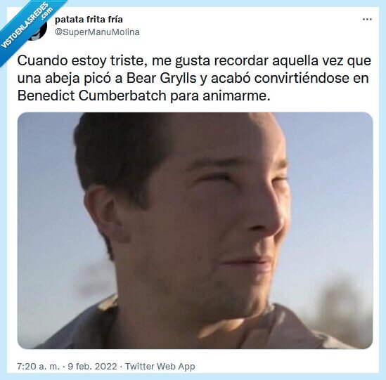 benedict cumberbatch,bear grylls,abeja,picar