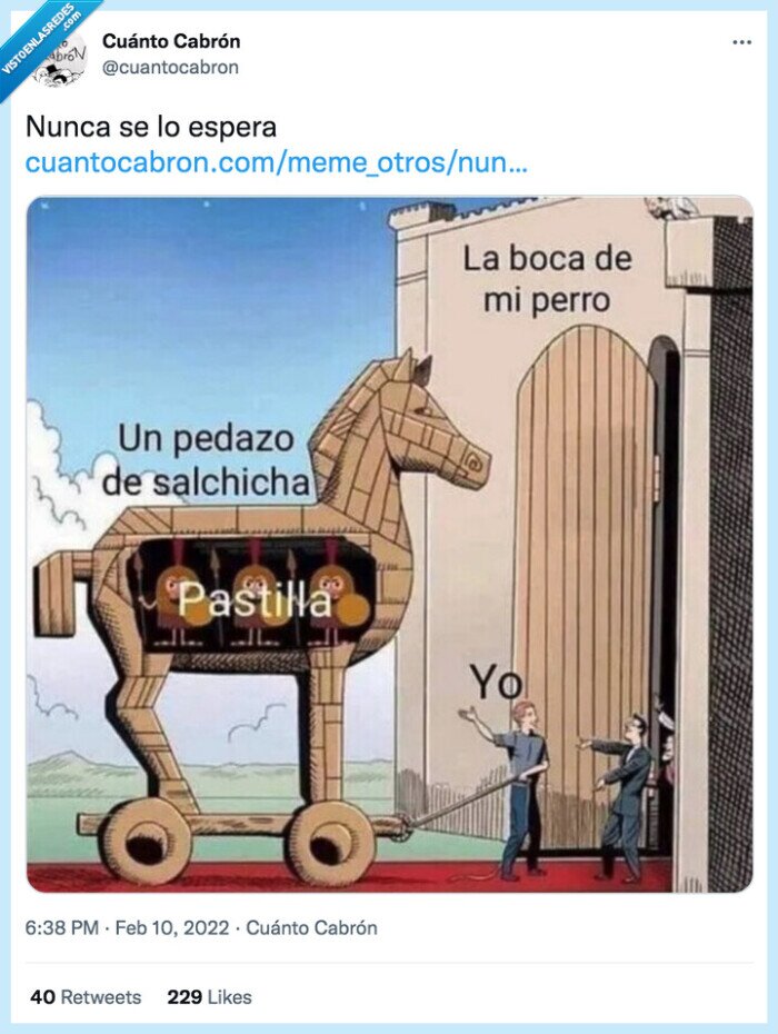 esperar,nunca,perro,pastilla