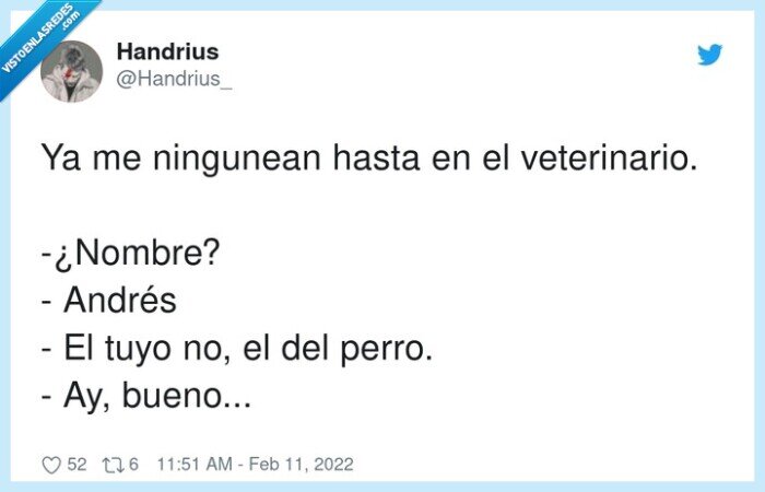 veterinario,ningunear,andrés,nombre,perro