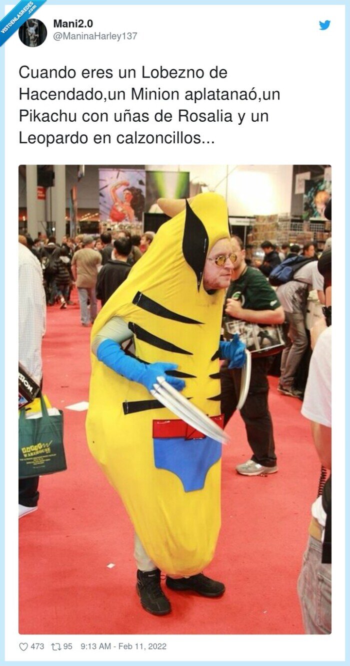 aplatanaó,disfraz,hacendado,calzoncillos,leopardo,lobezno,pikachu