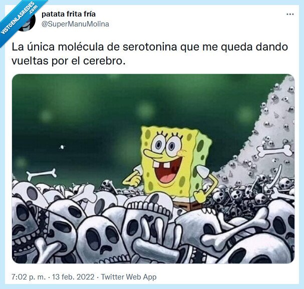 serotonina,molécula,cerebro