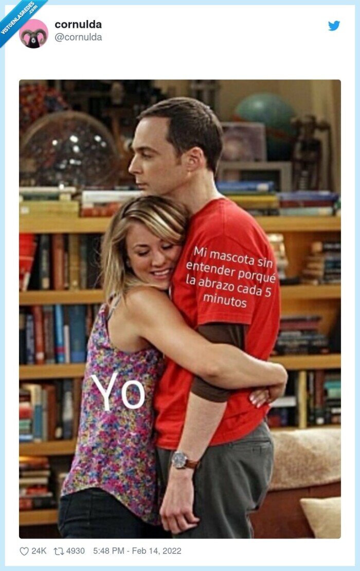 sheldon,abrazo,mascotas