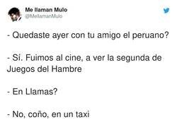 Enlace a Qué decepción si no va todo el mundo en llama, por @MellamanMulo