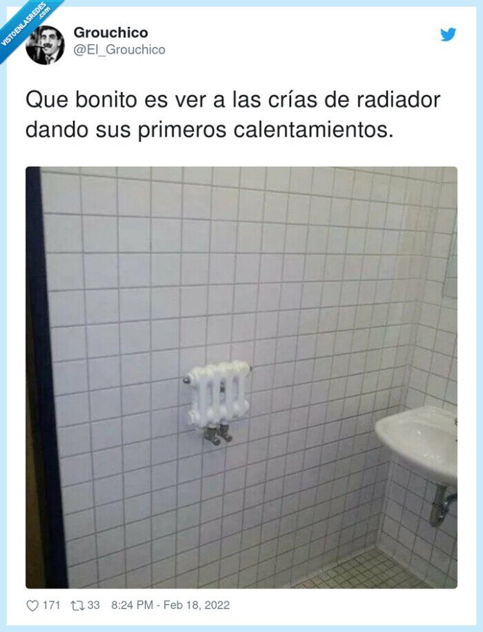 calentamientos,primeros,radiador,bonito,crías