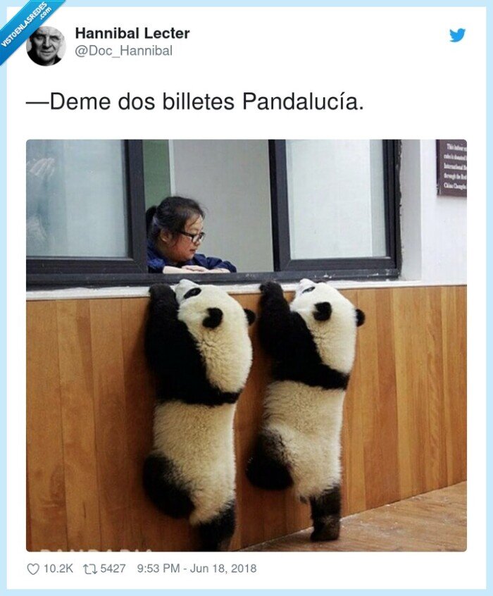 pandalucía,billetes,panda,andalucia